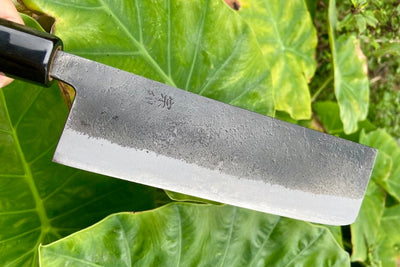 The Nakiri Knife: Why This Japanese Tool Is Essential for Modern Kitchens